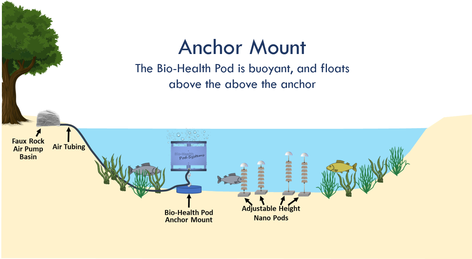 Anchor Mount Diagram Captioned