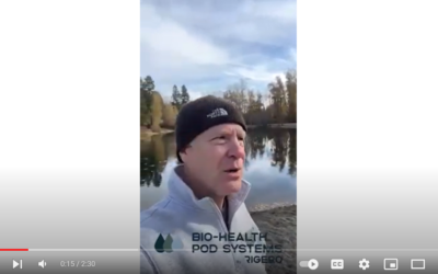 Whispering Pines RV Campground Pond Aglae Solution