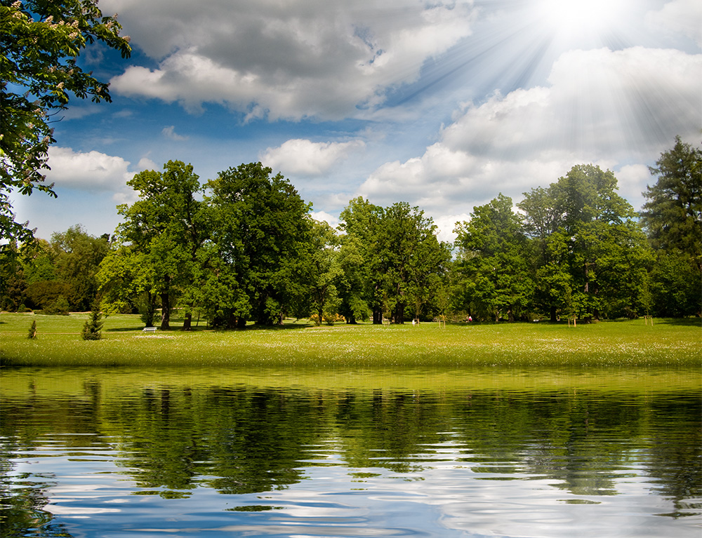 Clean estate pond with tree-lined banks maintained by Rigero pond muck reduction systems.