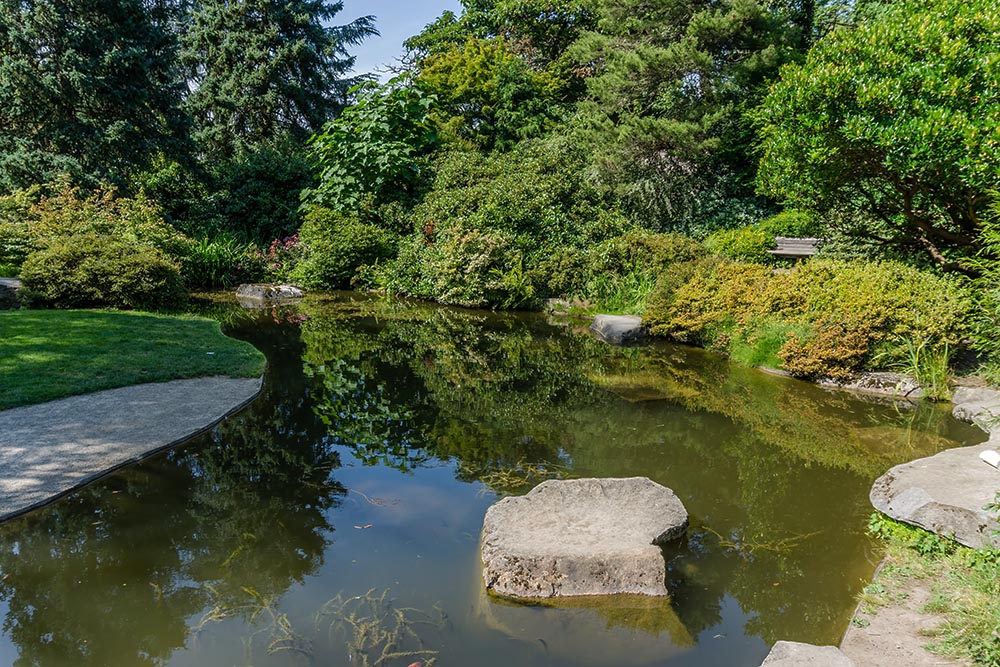 Learn about Rigero’s biological lake and pond management restoring clarity to a landscaped garden pond.
