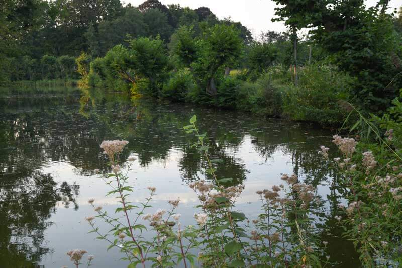 A Biological Grow Factory For Your Water