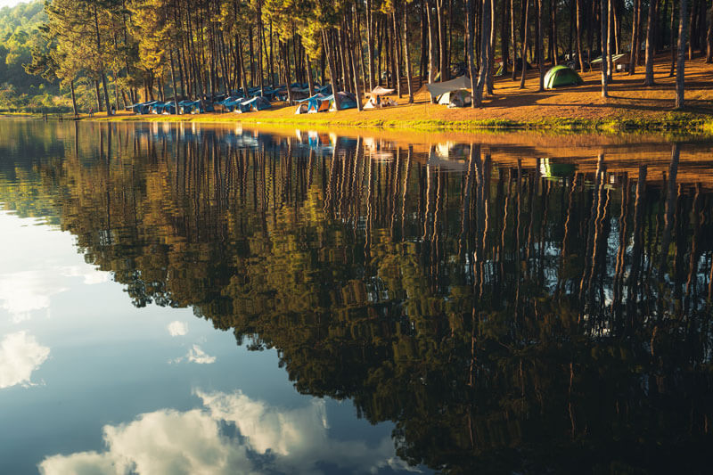 Campgrounds with clean, reflective lake waters supported by natural nutrient management.