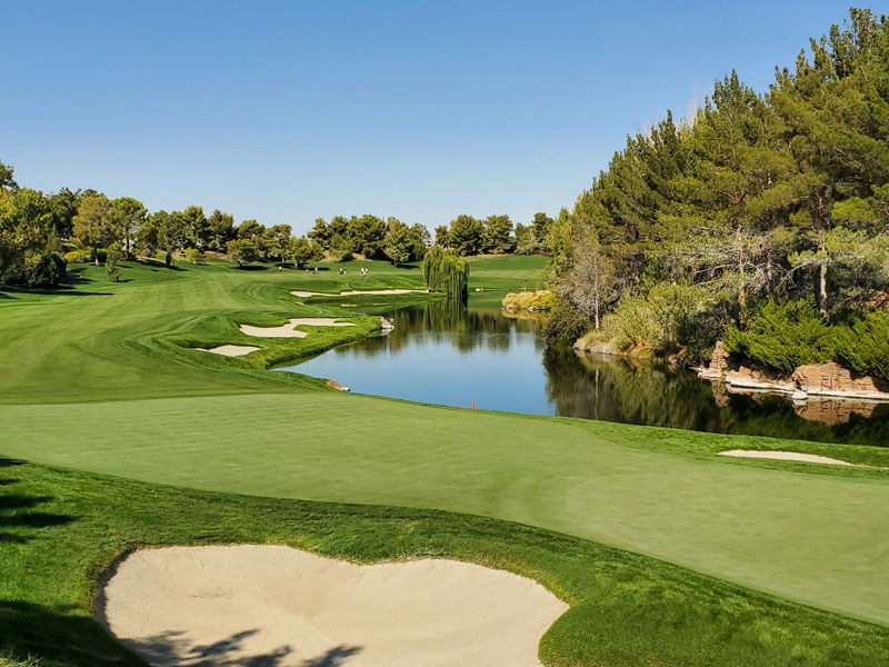 Protect Your Irrigation Systems and Aesthetics