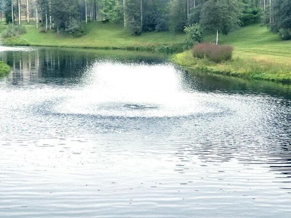 Blog 2 Get a Professional Pond Aeration System Installation in Lansing, MI