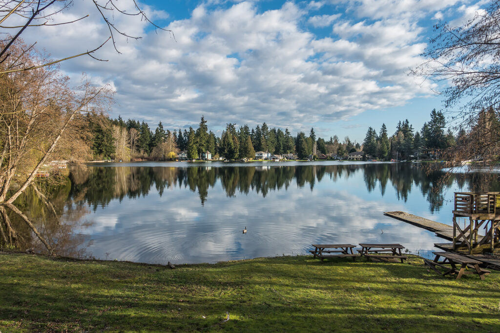 Explore our blog for sustainable lake and pond management tips to restore shoreline water clarity.