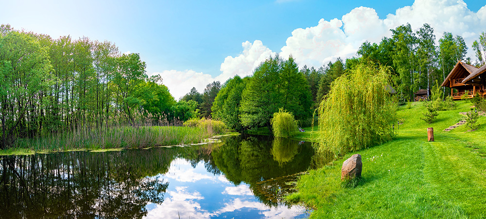 Rigero pond muck removal and water restoration services for a property in Dallas, TX.