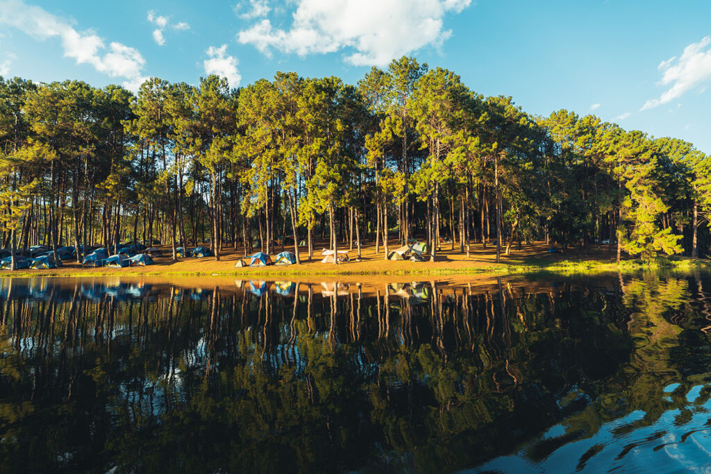 Campground lake management solutions protecting water quality across outdoor hospitality industries.